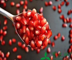 石榴方治泄泻