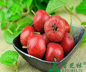 吃山楂可以去胃火吗