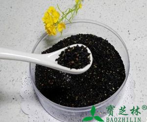 年轻脱发吃黑芝麻有用吗