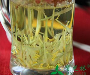 金银花茶饮的功效与作用