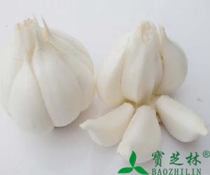 吃大蒜的好处