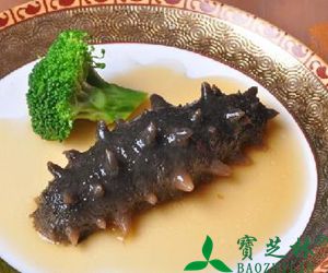 海参有什么营养价值