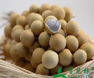 小孩吃桂圆好吗