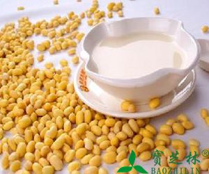 黄豆的功效与作用
