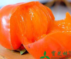 吃柿子的好处