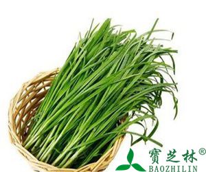 韭菜的营养价值