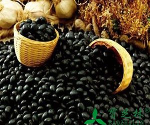 黑豆的营养价值