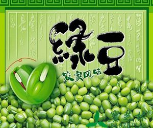 绿豆的药用价值