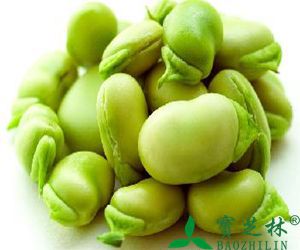 蚕豆的功效与作用
