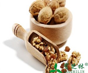 核桃的药用价值