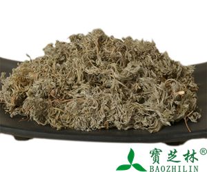 绵茵陈的功效与作用