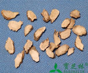 石菖蒲的功效与作用