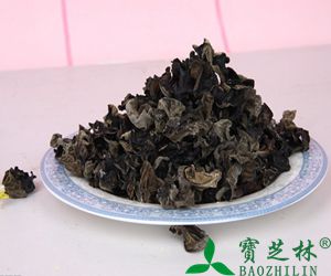 吃木耳有什么好处