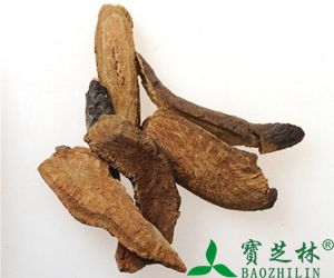 生地榆的功效与作用