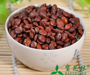 酸枣仁的功效与作用_副作用