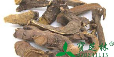 土大黄的功效与作用 清热解毒止血