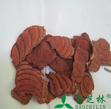 鸡血藤的功效与作用 活血舒筋养血调经