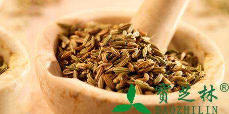 小茴香的功效和作用 理气止吐止痛对消化系统好