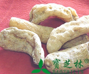新鲜天麻怎么吃 新鲜天麻吃法技巧