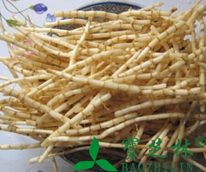 茅根的功效与作用