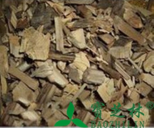 刺五加根的功效与作用