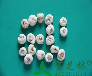 平贝母的功效与药用作用