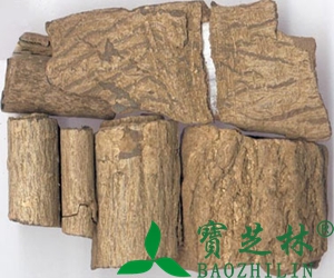 杜仲皮的功效与作用