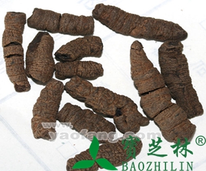 巴戟天的功效与药用作用