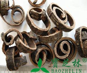 白术有哪些功效与作用
