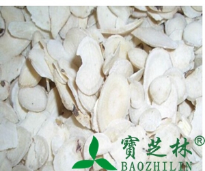 白术的功效与药用作用