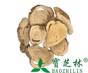 苦参的功效与药用作用
