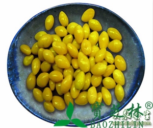 白果仁有什么功效与作用
