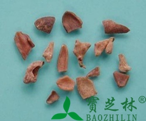 五倍子图片 五倍子的功效与作用
