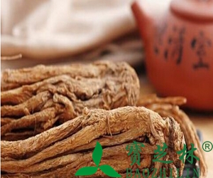 川芎图片 中药川芎的功效与作用