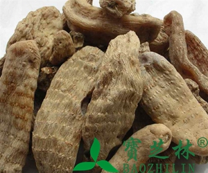 天麻怎么吃效果好 天麻吃法技巧