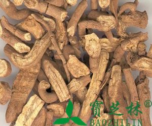 中药青木香的功效 青木香的食用禁忌