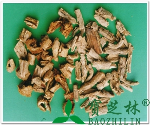 地骨皮(枸杞皮)的功效与作用