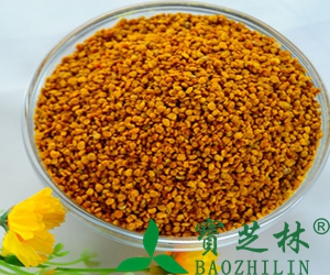 蜂花粉的作用与功效