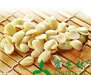 桃仁的功效作用和药用价值
