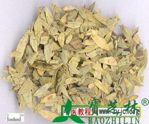 番泻叶的功效与作用和番泻叶的药用价值