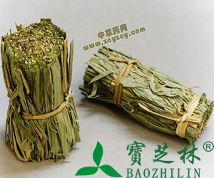 淡竹叶是什么 淡竹叶的功效与作用