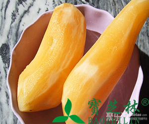 雪莲是什么 雪莲的功效和作用