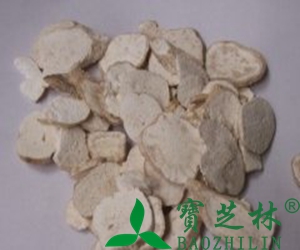 天花粉的功效与作用 吃天花粉的好处