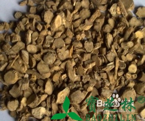 牛膝的功效与药用作用