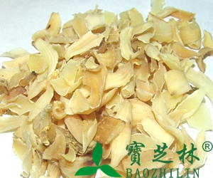百合的功效与作用和医用价值