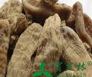 天麻的功效与作用 吃天麻的好处