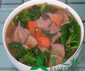 珍珠草能治夜盲吗 珍珠草怎么吃治夜盲