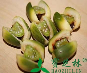 吃槟榔的坏处有哪些