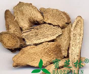 苦参的功效与作用有哪些?