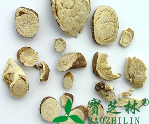 木香的功效与作用有哪些?